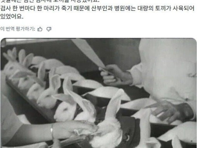 몇섑년 전에 썼던 임신 확인 방법.jpg