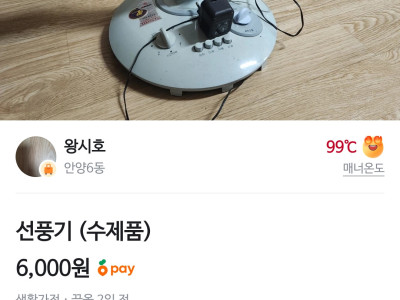 당근에 올라온 수제 선풍기