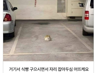 살다살다 이런 주차빌런은 처음 봄;;