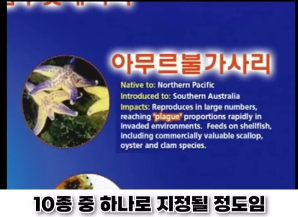 bt6b3b6a1fa9b7e607f0fd0cf77fc9d159.jpeg