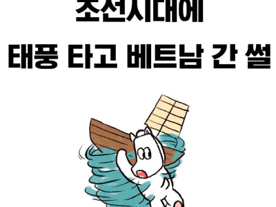 태풍 타고 베트남 간 썰