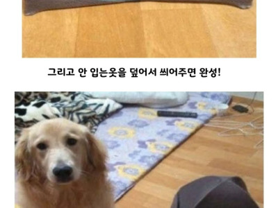 강아지집 쉽게 만드는 방법