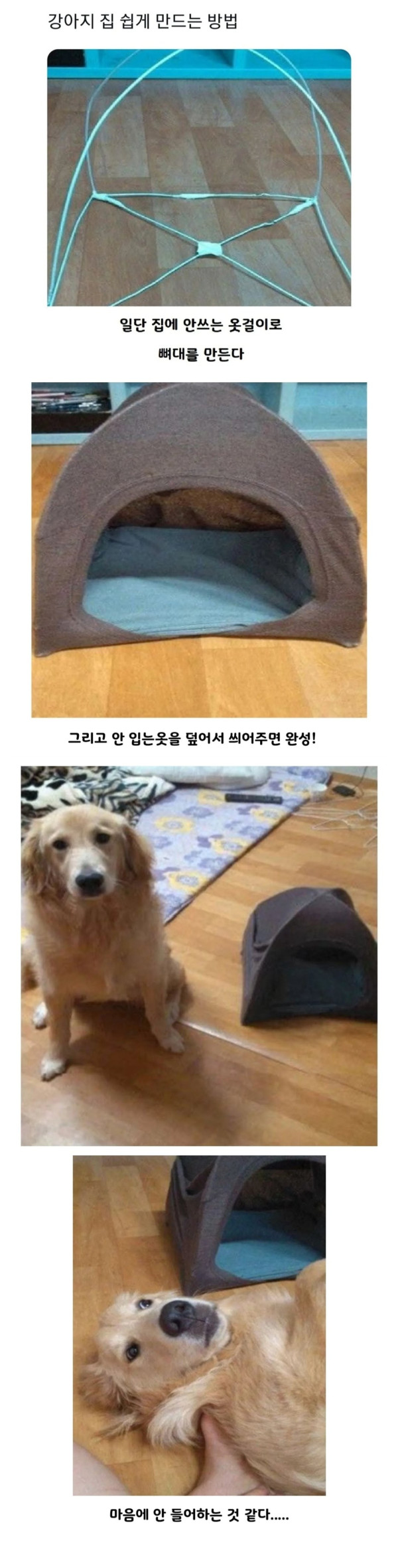 bt3d6b19a9e69875a7b107f5332fabe1dd.jpg