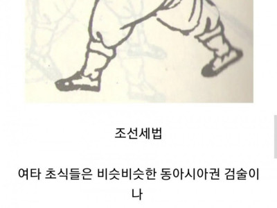중국 장수가 경악하고 갔다는 조선 검술