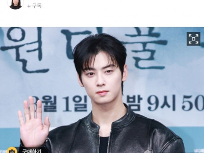 130억 세금 낸 차은우, 조세심판 청구