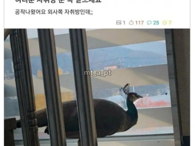 자취방 문을 꼭 닫아야하는 이유.jpg