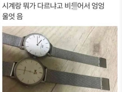 시계 사고 엉엉 운 썰