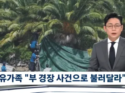 제주 부경장 허위종결 사건 근황