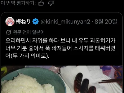 자동번역 기능 없애달란 프랑스인
