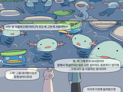 1열직관하는 포켓몬  만화