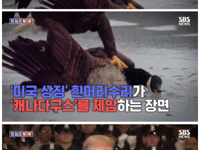 트럼프 덕분에 캐나다 전체가 똘똘 뭉쳤다