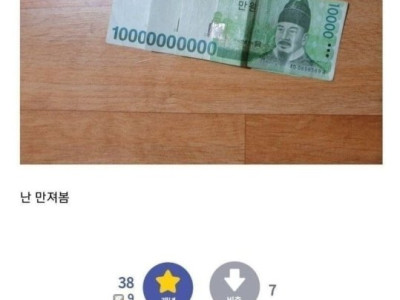 나름고전) 허언갤 모음.jpg