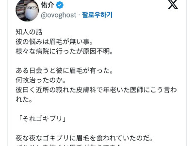 눈썹이 없었던 이유