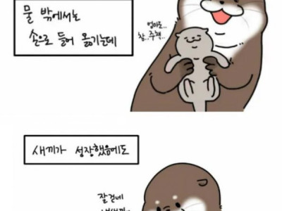 수달이 자기 새끼 자랑하는 만화