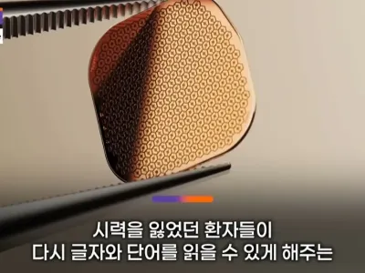 드디어 정복했다는 시각장애 근황