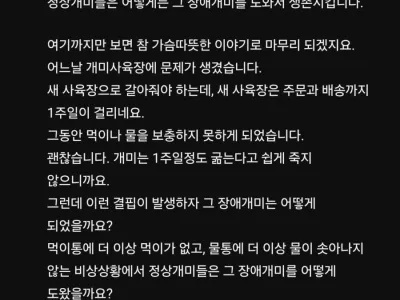 박위 채널에 달린 살벌한 댓글