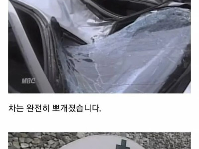 한국인 신체능력이 퇴화했다는 증거