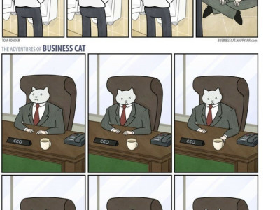 고양이가 직장 상사인 만화....manhwa