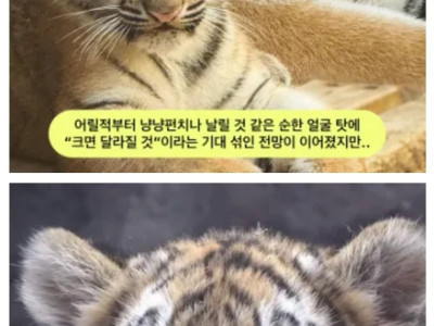 크면 용맹해질 줄 알았건만jpg