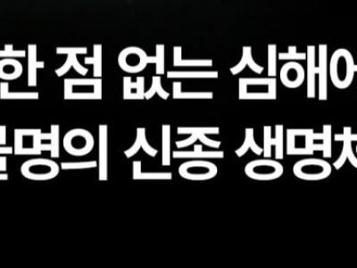 심해에서 새로 발견된 생명체