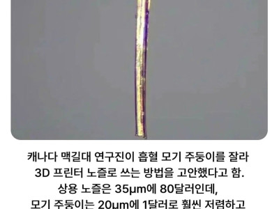 모기를 활용하기 시작한 인류의 과학