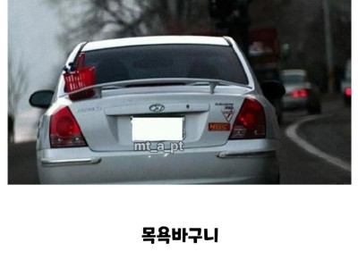 웃기고 안타깝고 슬픈 사진들