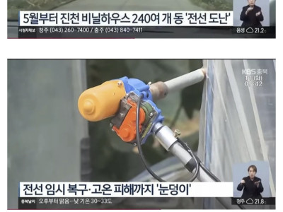 석달간 진천 농가를 벌벌떨게한 전선절도범 범인