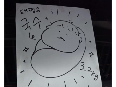 펌) 병원갔다가 집가는 신생아 차 봄.jpg