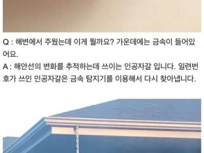 서양의 신기한 지식인 문답