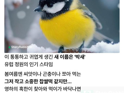 충격주의) 박새의 충격적인 반전 모습.jpg