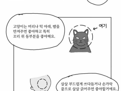 17?) 고양이 쓰다듬는 방법 manhwa