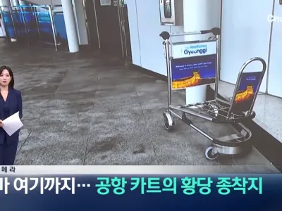 공항 카트를 자기 마음대로 쓴다는 인간들