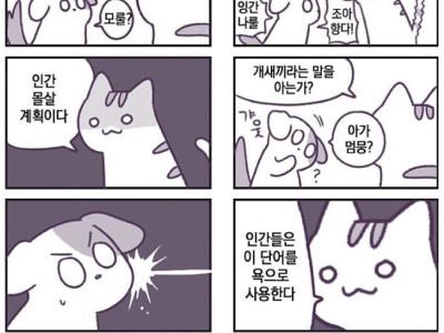 고양이 VS 멍멍이 논쟁하는 만화