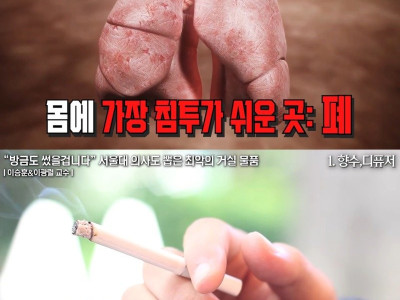 서울대 출신 의사, 화학자가 집에서 절대 안쓴다는 것
