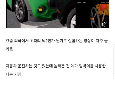 초파리 운전시험