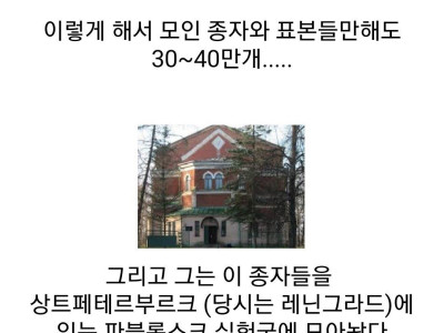 2차 대전기 수많은 식량을 가지고 아사한 사람들.jpg