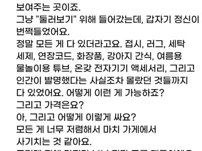이슈) '한국 놀라워', 다이소 가보고 눈 돌아간 외국인.jpg