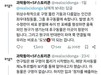 항문이 수컷의 생식 구멍에서 유래했다는 연구 결과