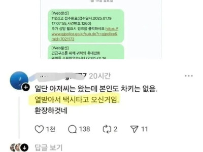 불법 주정차 위반한 싼타페 최후