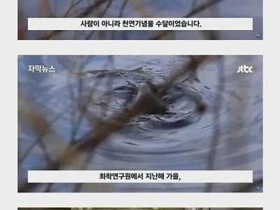 잉어 5천만원어치 훔쳐간 범인을 처벌못함.jpg