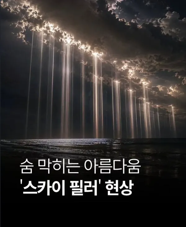 btce32caaa8674ad099cc560e7a416b04b.webp