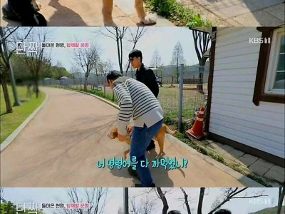 은퇴 후 업무능력을 상실한 시각장애인 안내견