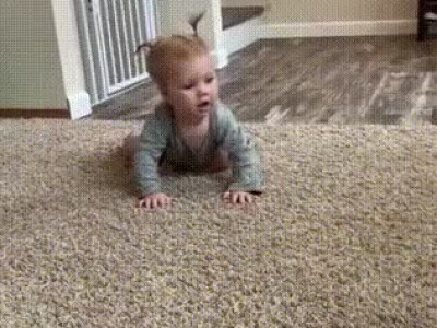 백슬라이딩 댕댕이