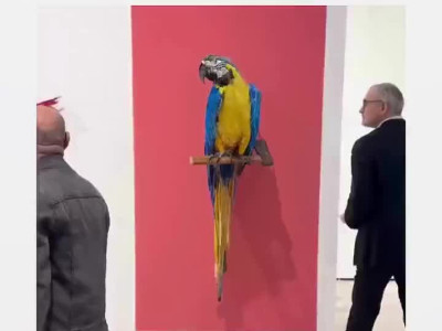 차원이 다른 작품