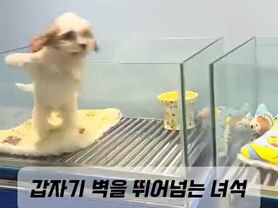 스스로 운명을 개척한 가족을 처음 만난 순간.mp4