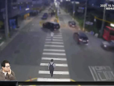 운전을 개같이 해서 벌금 300만원