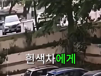 내자리를 뺏길수 없다