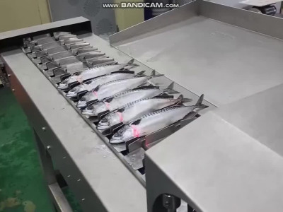 우리가 편하게 먹는 순살 고등어가 만들어 지는 과정