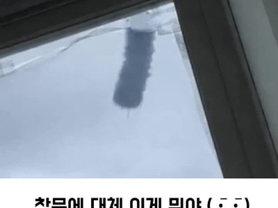 자꾸 먼지터는 윗집 대처법