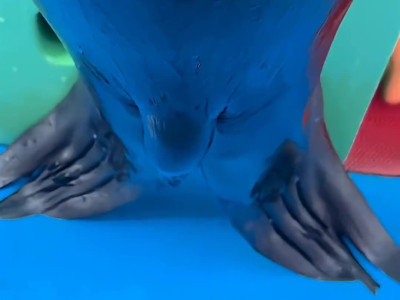 무슨 말인지 모르겠지만 아무튼 좋은 뜻은 아닌 거 같음